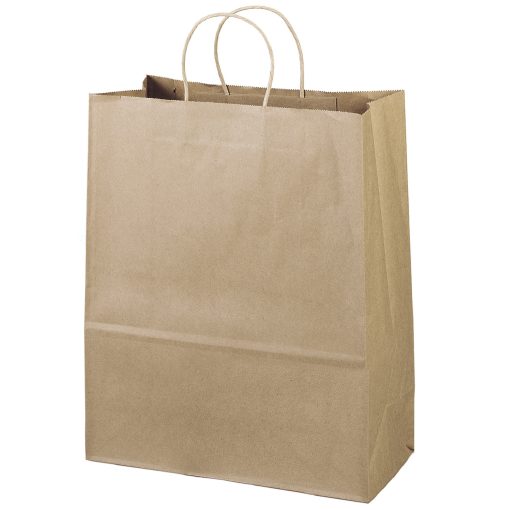 Eco Shopper Citation Bag (Flexo Ink)-2