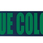 Custom 4" Badge Satin Ribbon - 100yrd Roll - Brilliance - Matte Finish - 9