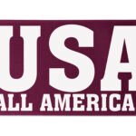 Custom 6" Badge Satin Ribbon - 100yrd Roll - Brilliance - Matte Finish - 2