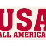 Custom 6" Badge Satin Ribbon - 100yrd Roll - Brilliance - Matte Finish - 4