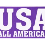 Custom 6" Badge Satin Ribbon - 50yd Roll - Brilliance - Matte Finish