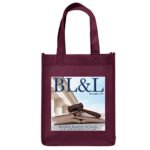 Custom Ike - Celebration Tote - ColorVista - 4