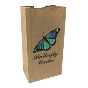 Custom 2# Popcorn Bag - ColorVista